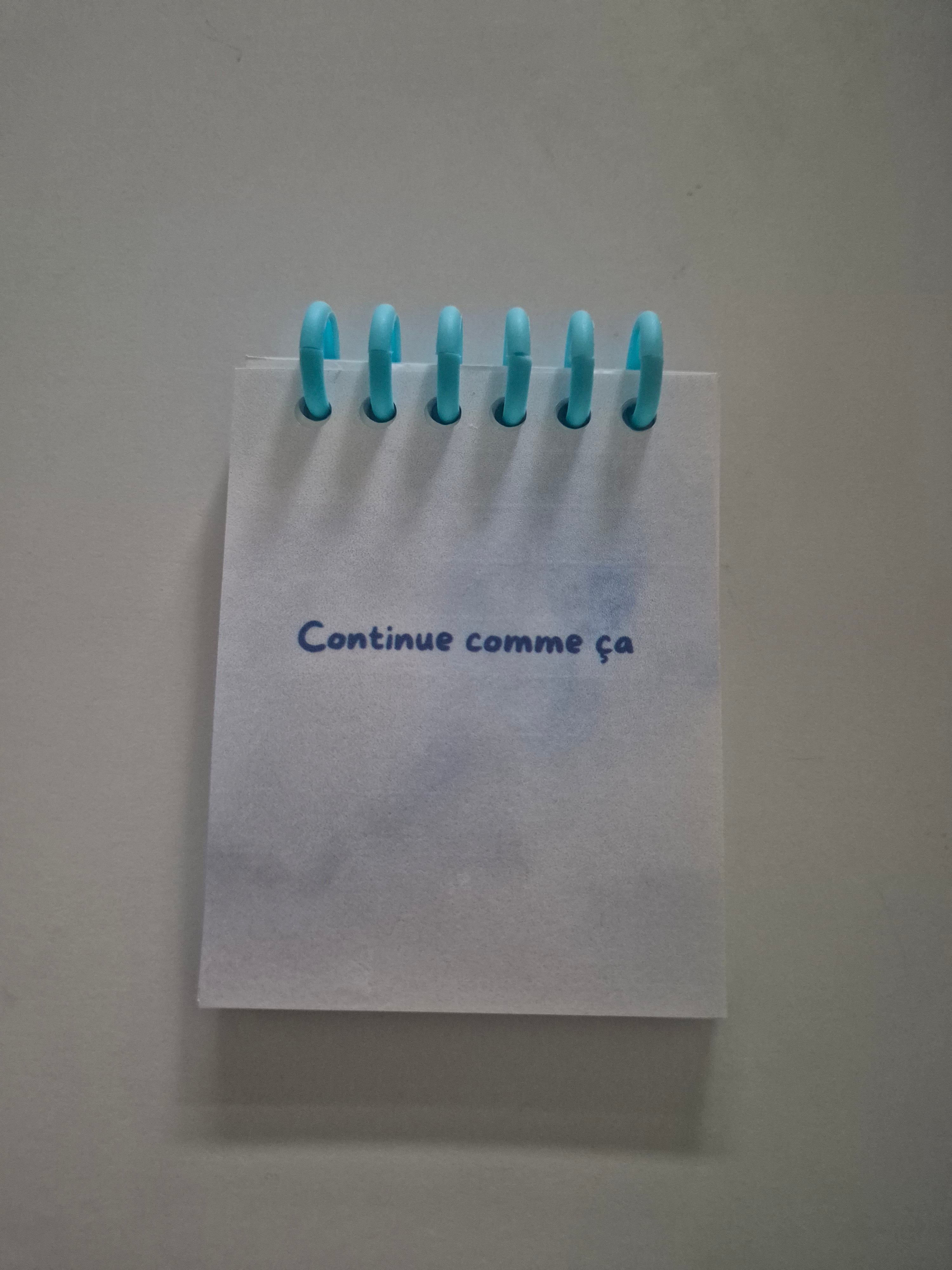 Petit carnet à anneaux artisanal | 7×9 cm | Pages rechargeables
